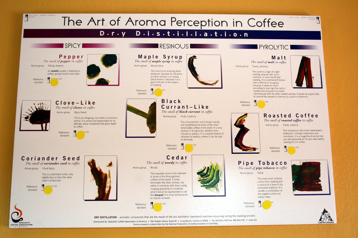 The Art of Aroma Perception 2