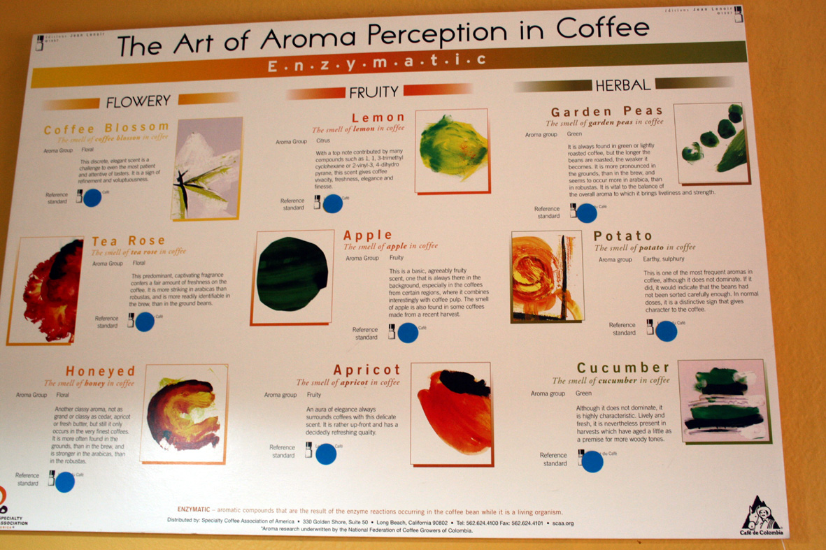 The Art of Aroma Perception